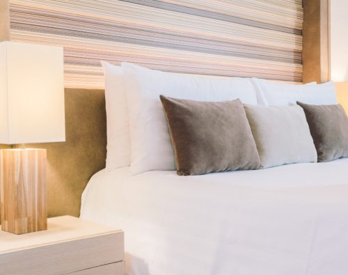 Você sabe o que é Kokedama?