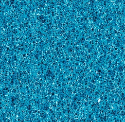 Topper Dédicace Paris